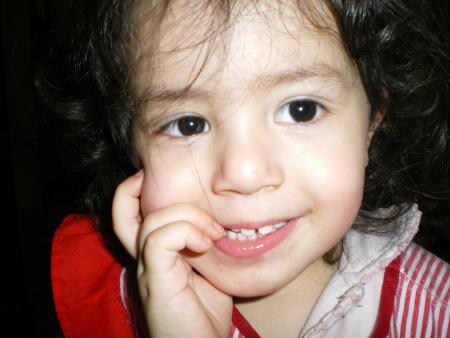 ������������������������2008