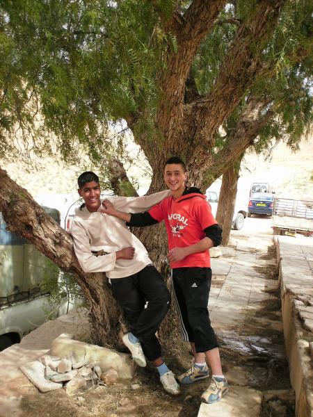 ����+����